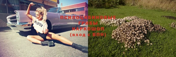 apvp Абаза