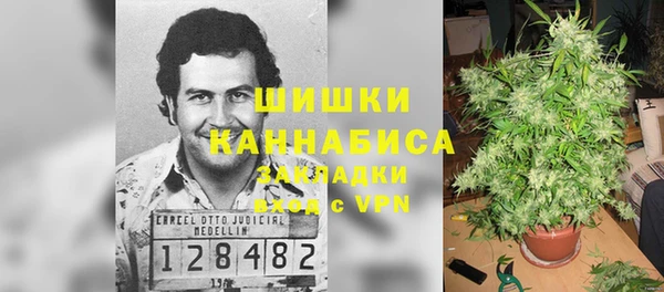 apvp Абаза