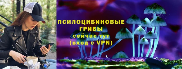 гидра Алзамай