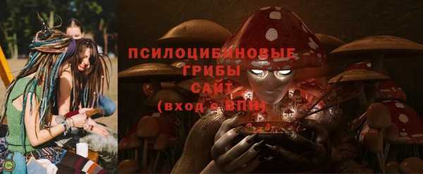 apvp Абаза