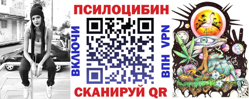 kraken Ладушкин Псилоцибиновые грибы Psilocybine cubensis купить сайты