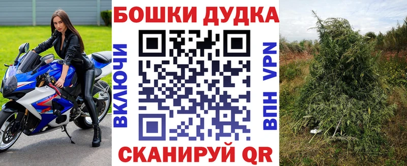 Шишки марихуана Amnesia продажа наркотиков Ладушкин